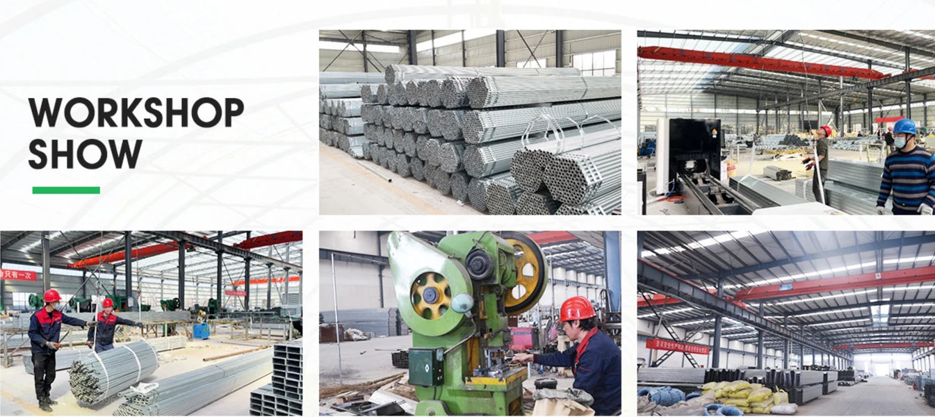 Shandong Lisent Agricultural Technology Co., Ltd. производственная линия производителя