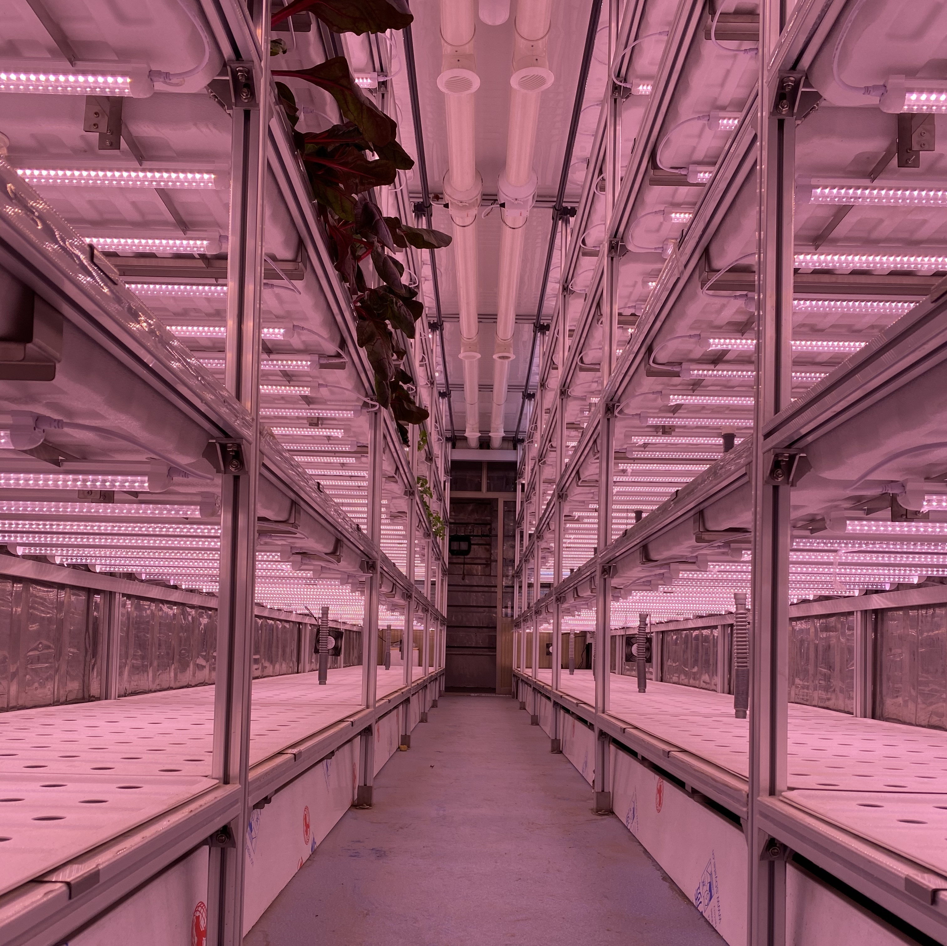 Hydroponic Smart Farming Container Greenhouse